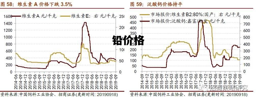 2024年12月22日 第7页