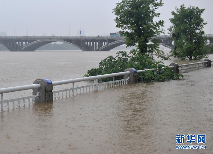 湖南湘江水位最新，湘江水位实时动态