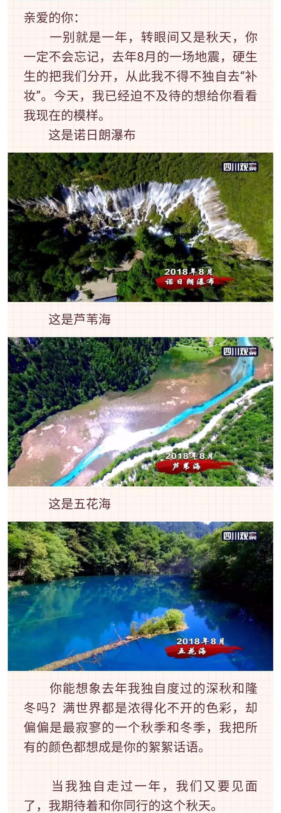 九寨县地震最新情况,九寨县地震最新动态