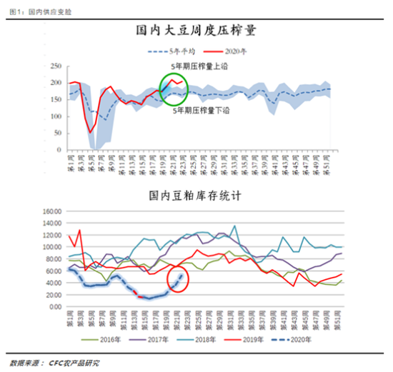 “近期黄豆产地价格动态分析”